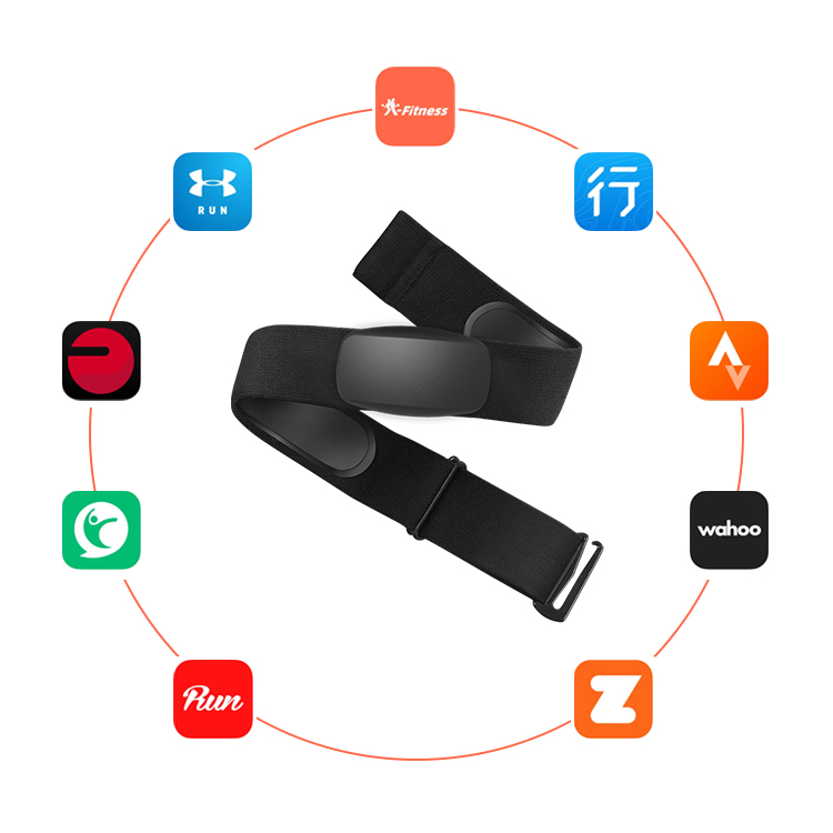 BLE5.0 ANT+ Heart Rate Monitor - Heart Rate Strap Chest 评论和价格