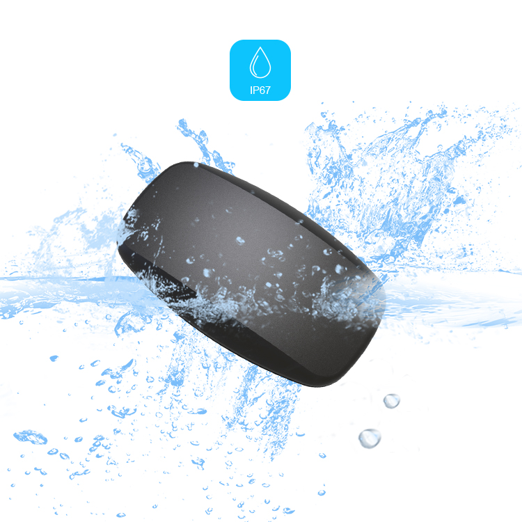 BLE5.0 ANT+ Heart Rate Monitor - Heart Rate Strap Chest 评论和价格