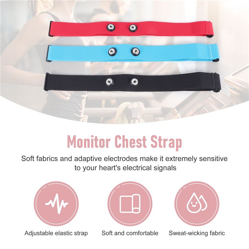 RTENTE-3Pcs For Magene Heart R - Heart Rate Strap Chest 评论和价格