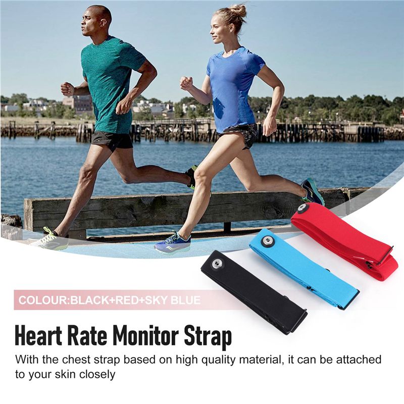 RTENTE-3Pcs For Magene Heart R - Heart Rate Strap Chest 评论和价格