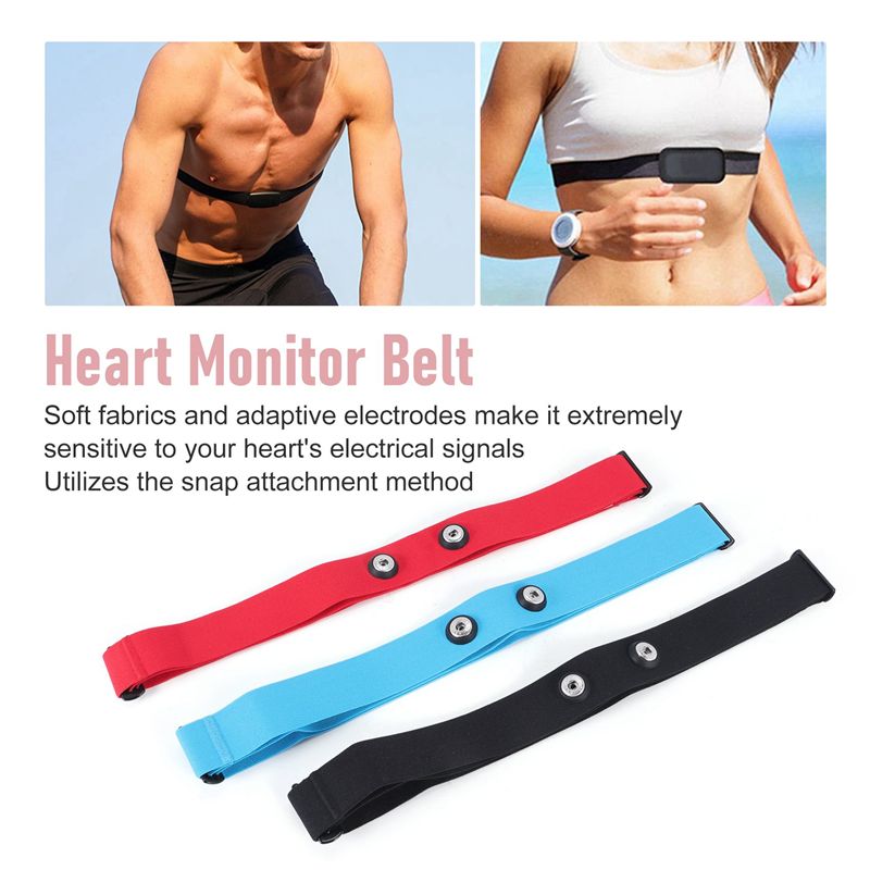 RTENTE-3Pcs For Magene Heart R - Heart Rate Strap Chest 评论和价格