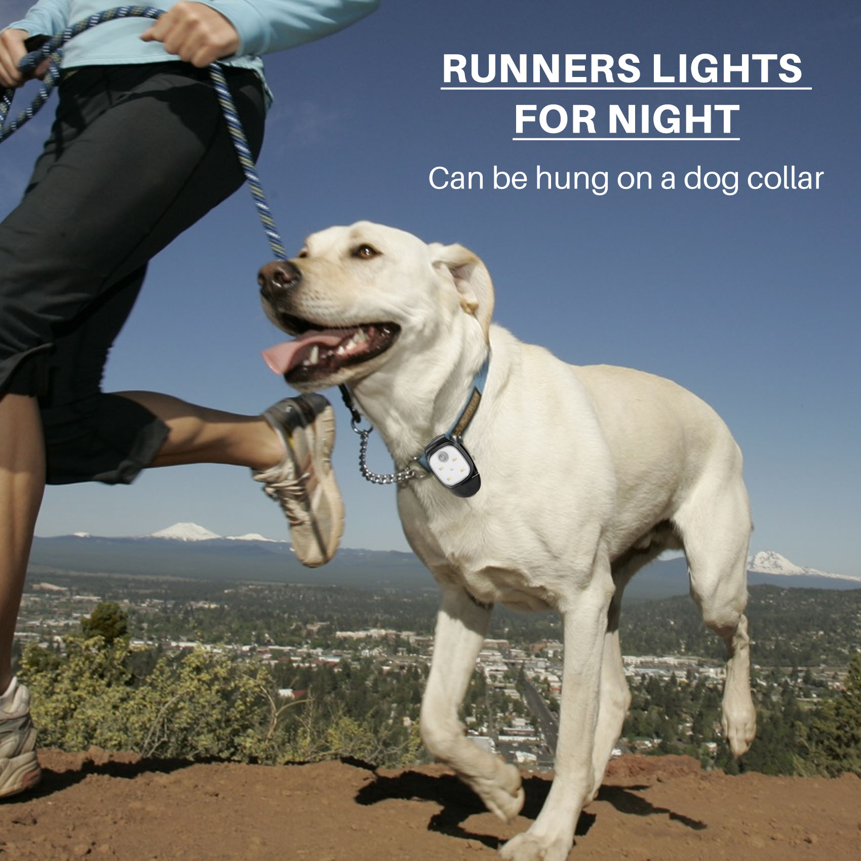 XSXS-Outdoor Night Clip On Run - Running Gear On 评论和价格